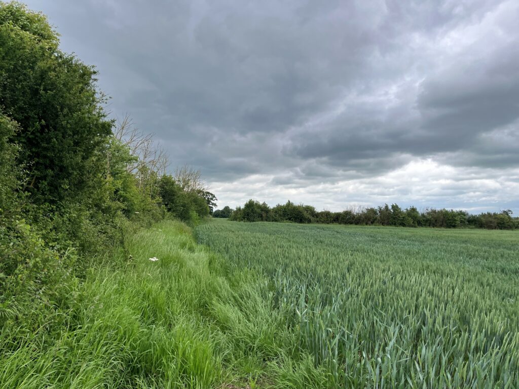 Website Photo
